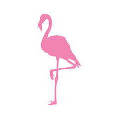 Flamingo silhouette icon. Exotic bird