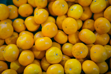 Abundant Harvest: Close-Up of Ripe Mandarin Oranges