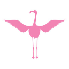 Flamingo silhouette icon. Exotic bird