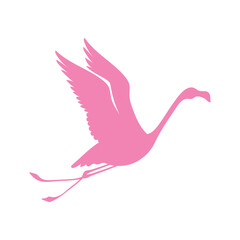 Flamingo silhouette icon. Exotic bird