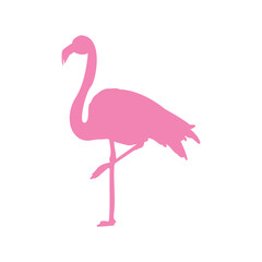 Flamingo silhouette icon. Exotic bird