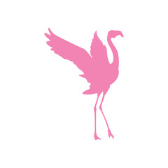 Flamingo silhouette icon. Exotic bird