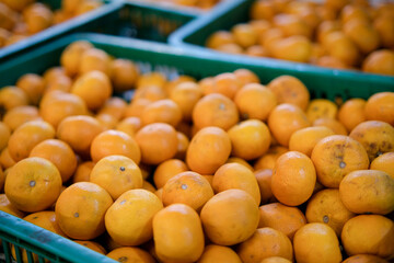 Close-up of Ripe Mandarin Oranges in Green Plastic Baskets