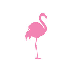 Flamingo silhouette icon. Exotic bird