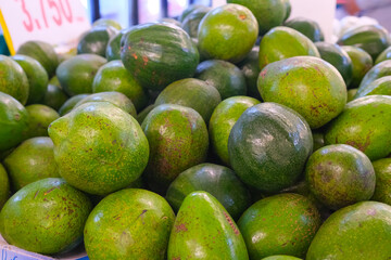 Vibrant Green Avocados Piled High at Market Stall