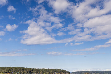 Clear Blue Sky and Forested Horizon Across Coastal British Columbia, Canada