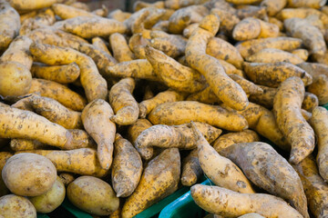 Rustic Harvest:  Golden Sweet Potatoes and Potatoes in Green Bins