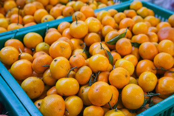 Vibrant Mandarin Oranges in Green Plastic Crates at Market