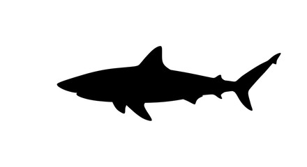 Silhouette Shark Outline