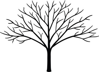 Obraz premium Tree Without Leaves Line Art Vector Illustration