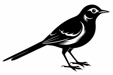 Wagtail silhouette black vector