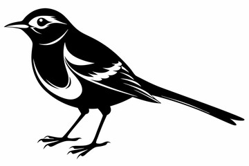 Wagtail silhouette black vector