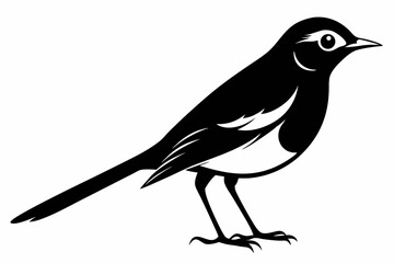 Wagtail silhouette black vector