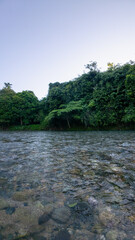 Serene River Landscape Surrounded by Lush Greenery