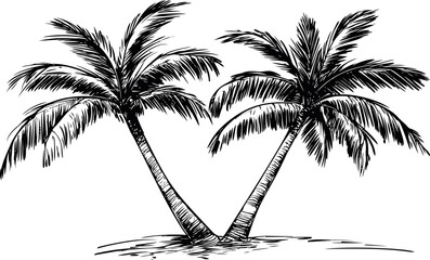 Black and white sketch of two coconut palm trees on a sandy beach. Vector illustration