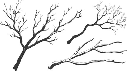 Obraz premium Silhouette of three bare tree branches against a plain. Vector illustration