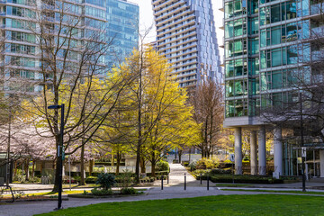 Urban Park Setting in Downtown Vancouver with Modern Architecture and Green Trees