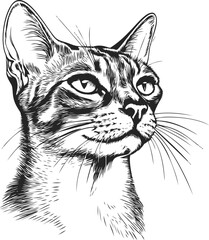 Obraz premium Detailed black and white sketch of a cat head with intricate line work. Vector illustration