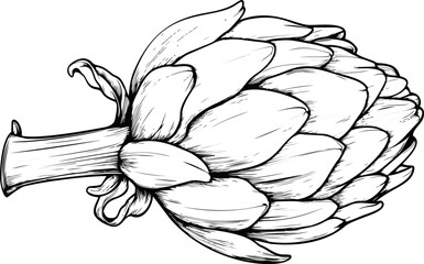 Fototapeta premium Detailed black and white illustration of an artichoke with intricate linework. Vector illustration