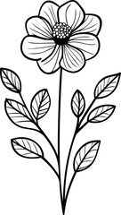 Line drawing of a flower with detailed petals and leaves illustration. Vector illustration