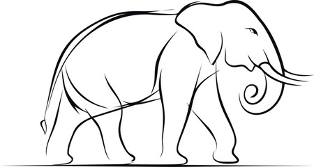 Obraz premium Elegant black line drawing of walking elephant. Vector illustration