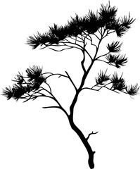 Silhouette of a pine tree with spiky branches. Vector illustration