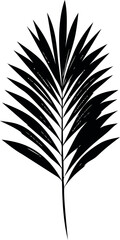 Obraz premium Silhouette of a palm leaf in black and white art illustration. Vector illustration