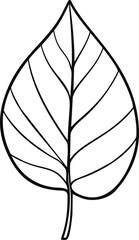 Fototapeta premium Outline drawing of a single leaf with visible veins. Vector illustration