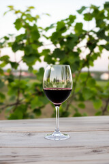 glass of red wine on wooden table with grapevines in background