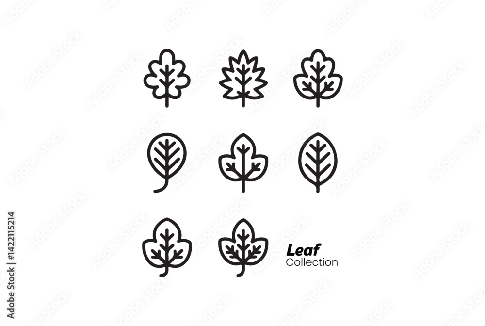 Poster simple line art leaf collection for design projects