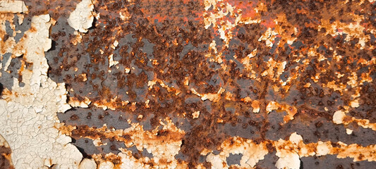 Rust on the iron door for the background. old peeling paint on rusty gates.
