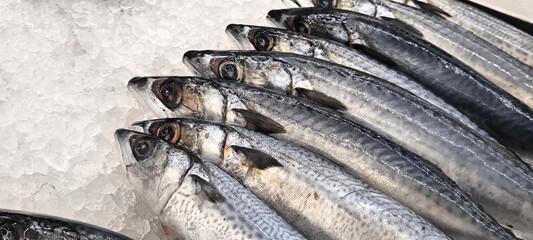 Fresh fish in the fresh market on ice. fish caught from fishing.