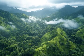 Fototapeta premium cinematic style, Cloud forest, top view, Ecuador, mountains, jungle, rain