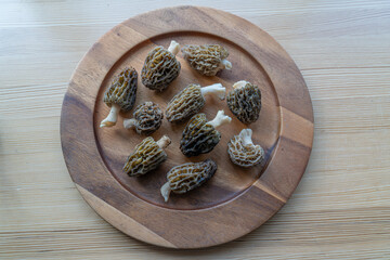 Morchella on the wooden tray