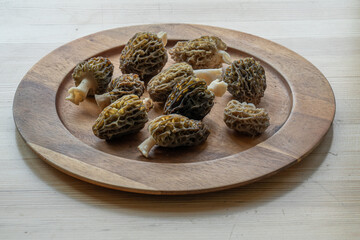 True morels for lunch
