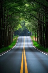 Obraz premium arafed road with trees and a street sign on the side