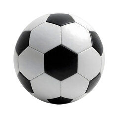  The Iconic Black and White Soccer Ball