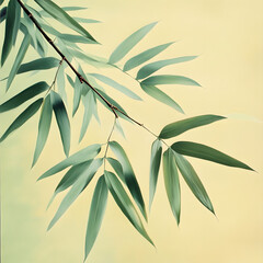 Obraz premium Green bamboo stalks or forest scenes, symbolizing nature, peace, and sustainability—ideal for backgrounds, eco themes, and Asian-inspired decorative designs.