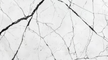 Fototapeta premium White Marble Texture Background with Black Veins Pattern Graphic for Design Elements Material