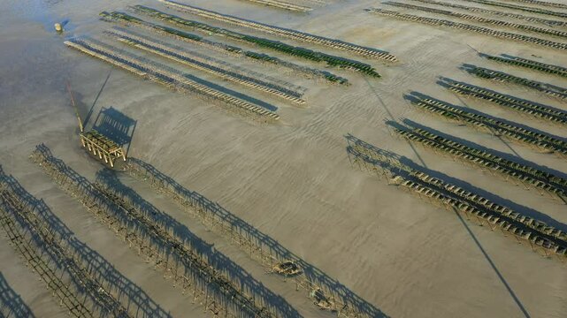The oyster farms of Utah Beach in Europe, France, Normandy, near Carentan, in spring, on a sunny day.&nbsp;