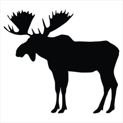 Moos silhouette vector is isolated on a white background
