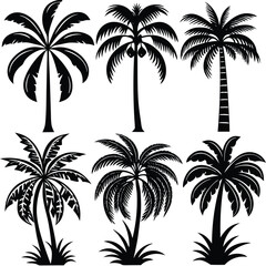 Fototapeta premium Black and White Palm Tree Silhouettes Collection, Hand-Drawn Palm Tree Illustrations, Stylized Palm Trees Clipart Set.
