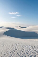 araffes walking through the sand dunes in the desert