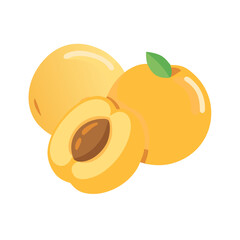 Juicy yellow apricots with a green leaf, displayed on a white background, highlighting their fresh and vibrant appearance