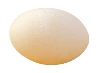 Egg With No Hard Shell