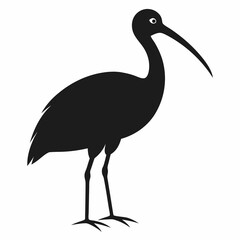 Ibis silhouette vector isolated on white background