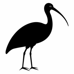 Ibis silhouette vector isolated on white background