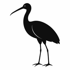 Ibis silhouette vector isolated on white background