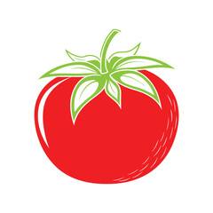 Tomato vector art and illustration on a white background