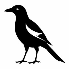 Magpie silhouette vector isolated on white background